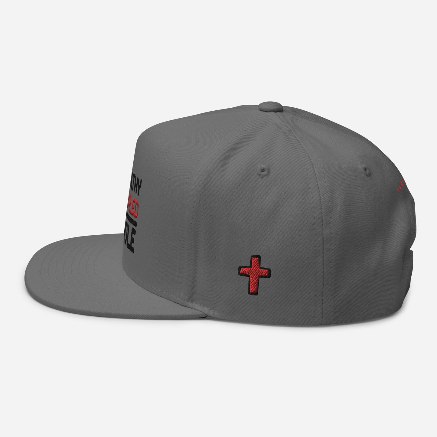 Healthy & Healed Snapback