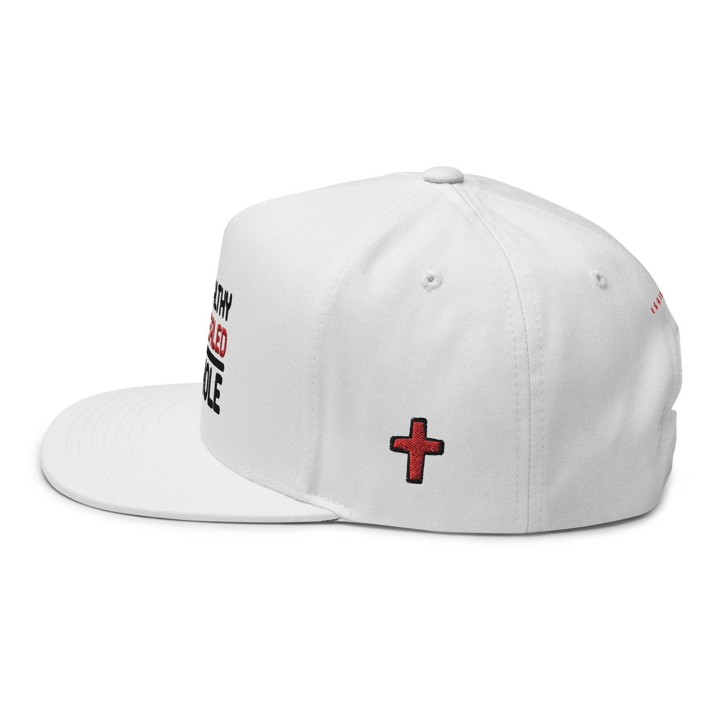 Healthy & Healed Snapback