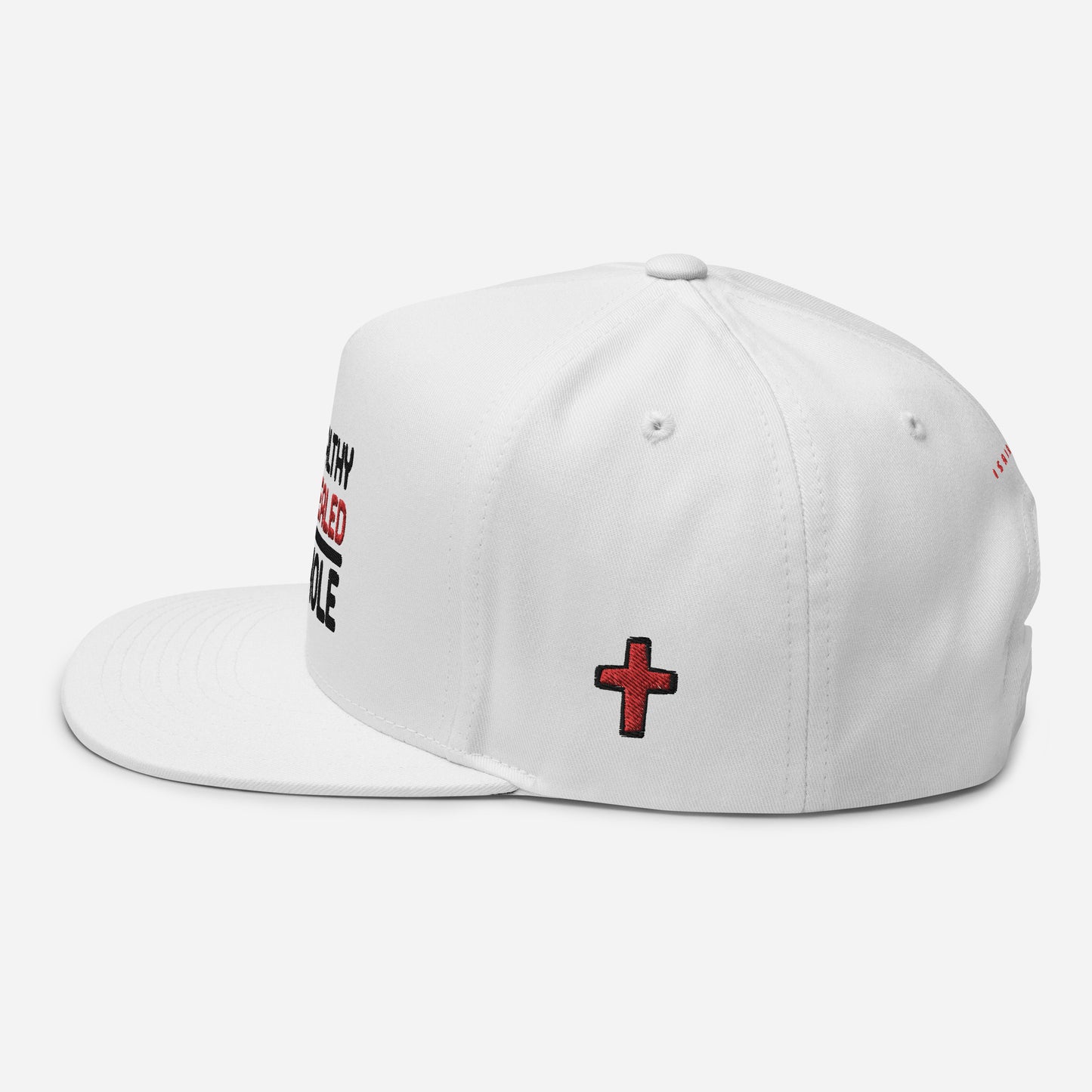 Healthy & Healed Snapback